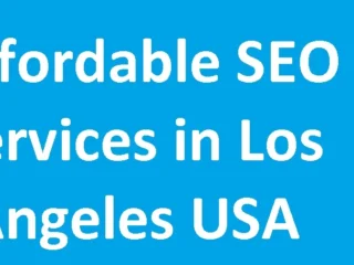 affordable-seo-services-los-angeles-usa